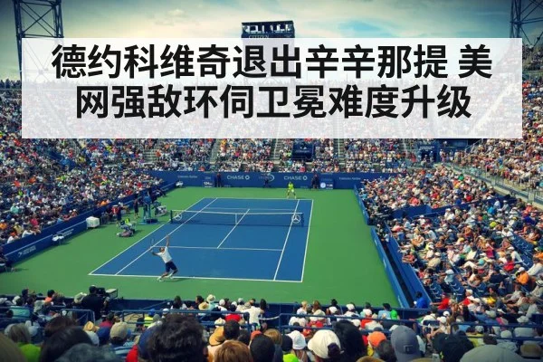 professional tennis match