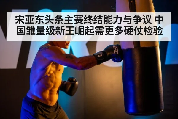 UFC bantamweight fighter punching